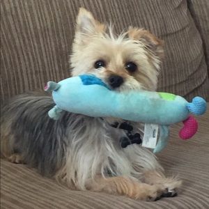 Meet your Posher, Michael